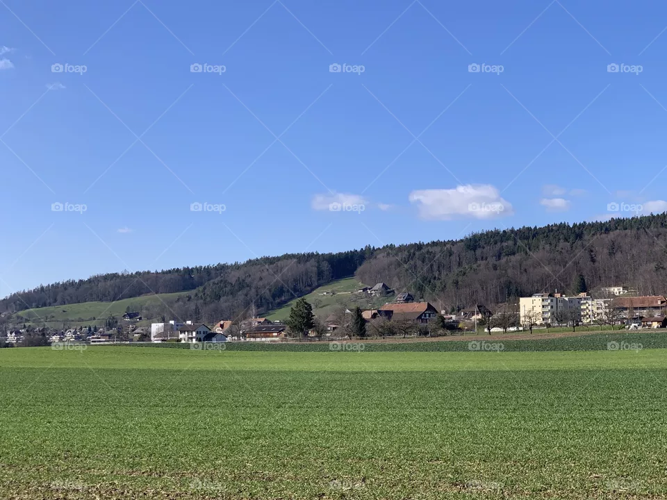Vilege