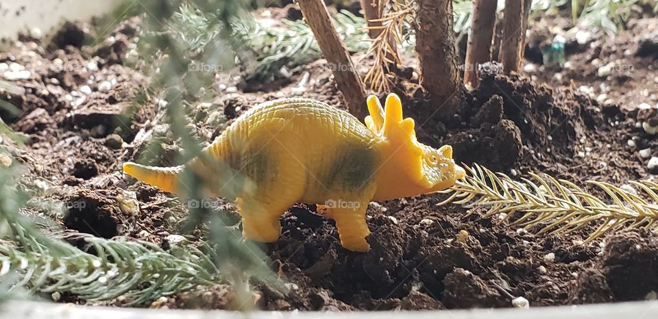 Jurassic Plastic - Creating a Jurassic Park Theme using plastic dinosaurs and potted plants!