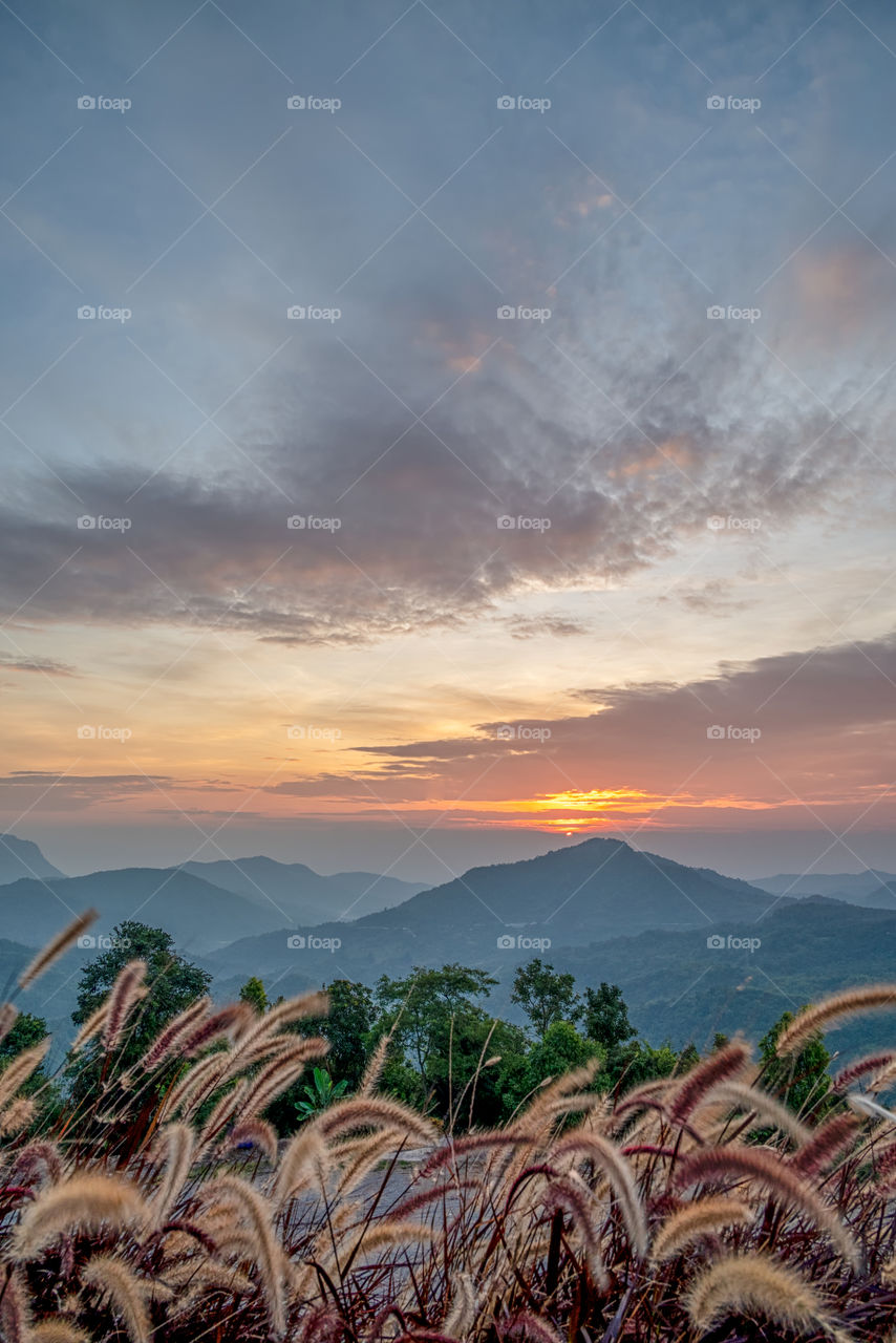 Beautiful sunrise scene in Thailand