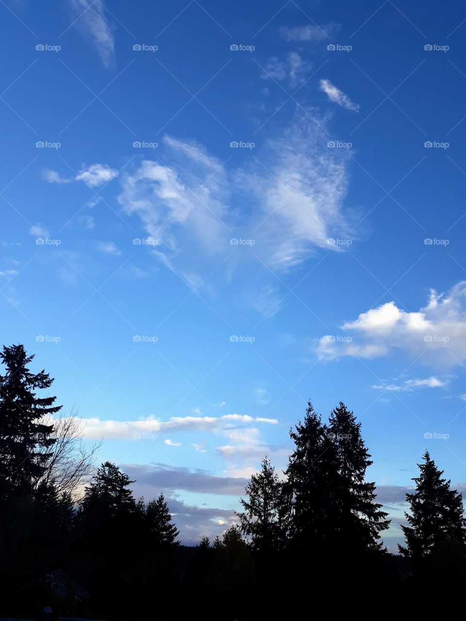 Heart Shaped Cloud in Blue Sky
