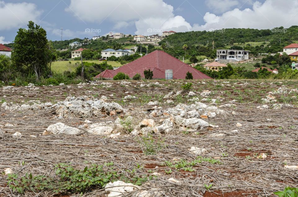 Rocky Landscape