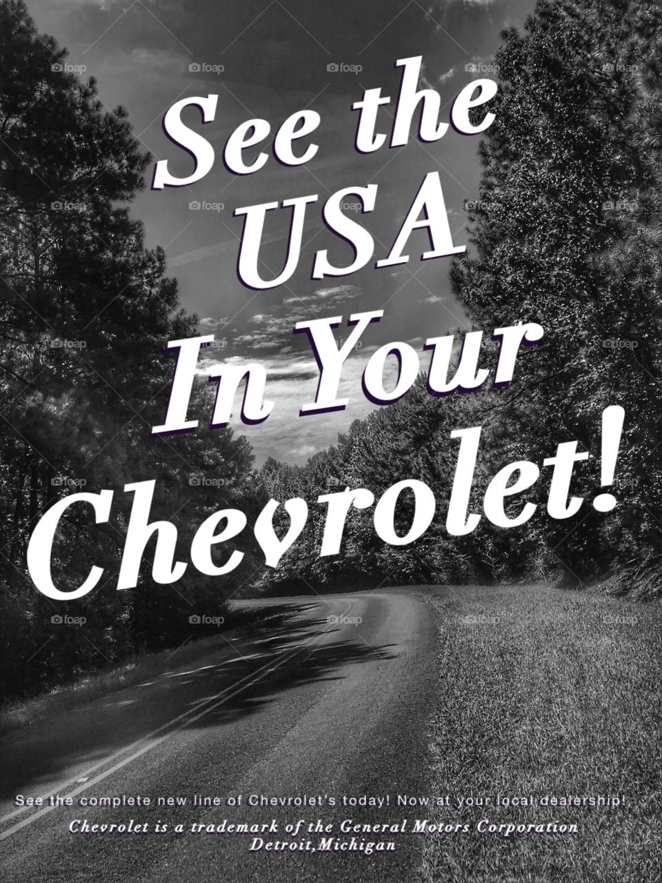 Fake Ad! I thought my picture looked like an old 50’s ad background so I made an ad for it