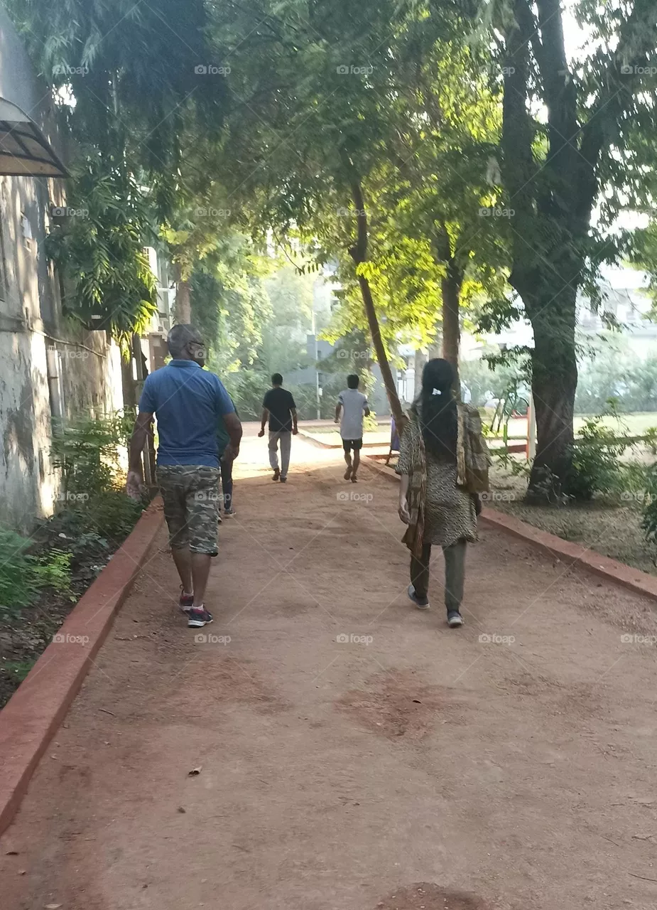 Morning Walk