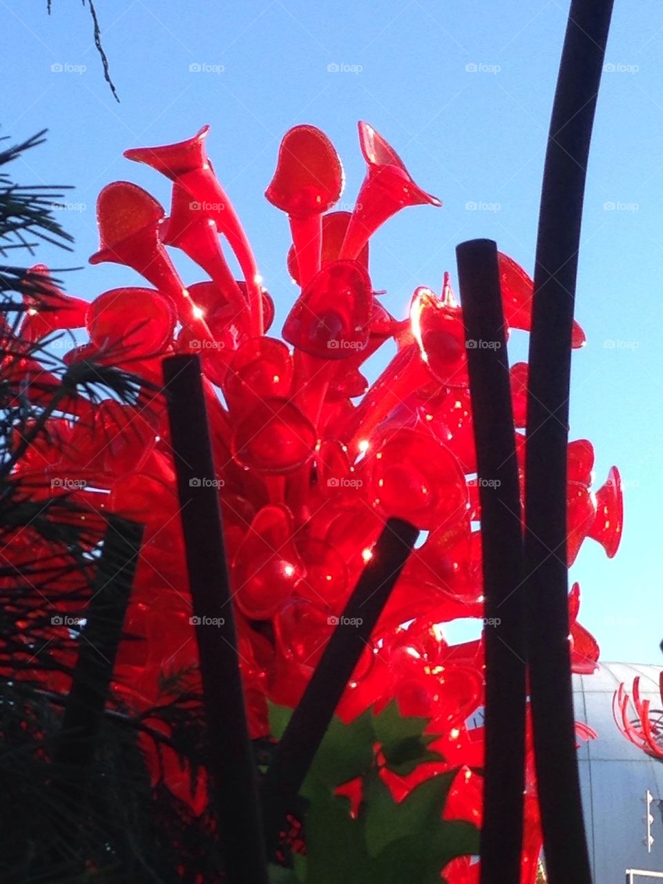 Chihuly Red