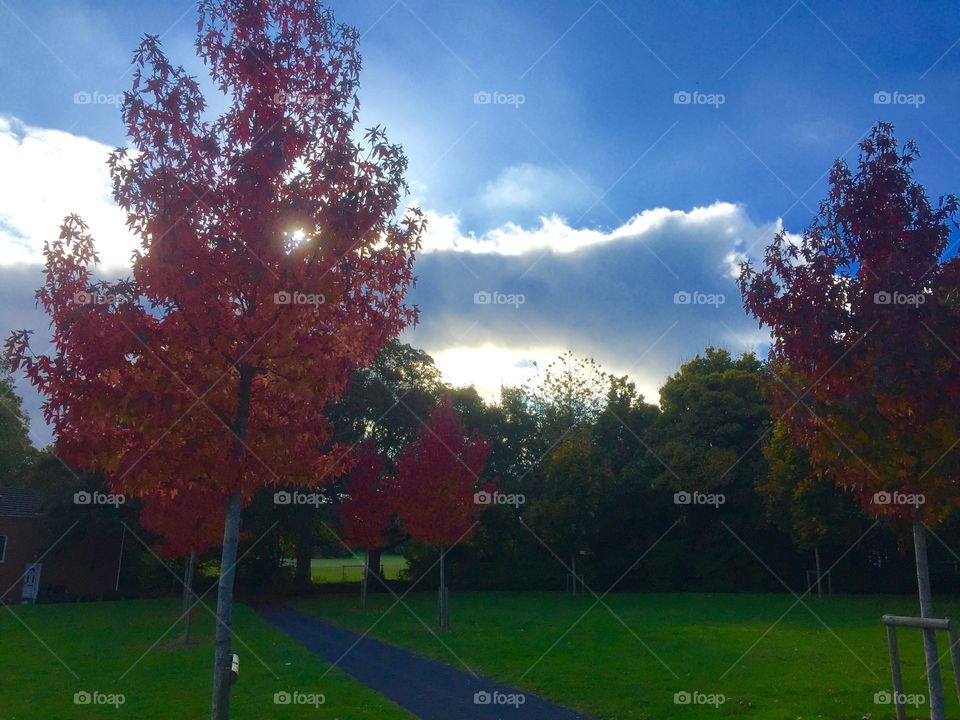 Autumn in different parts of the colours how filter the sun rays to my caps