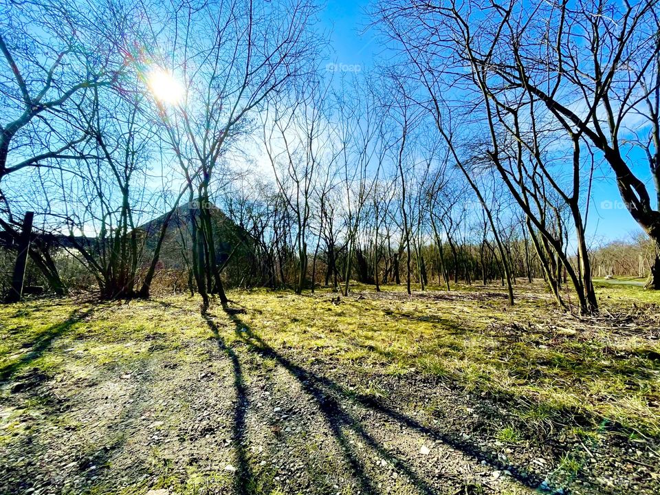 Spring is comming 🌿