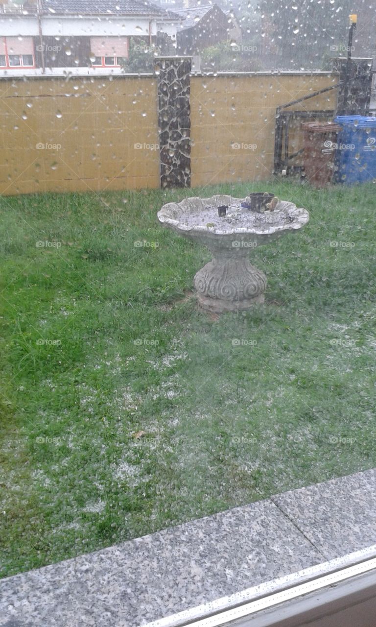 hail in june in our garden