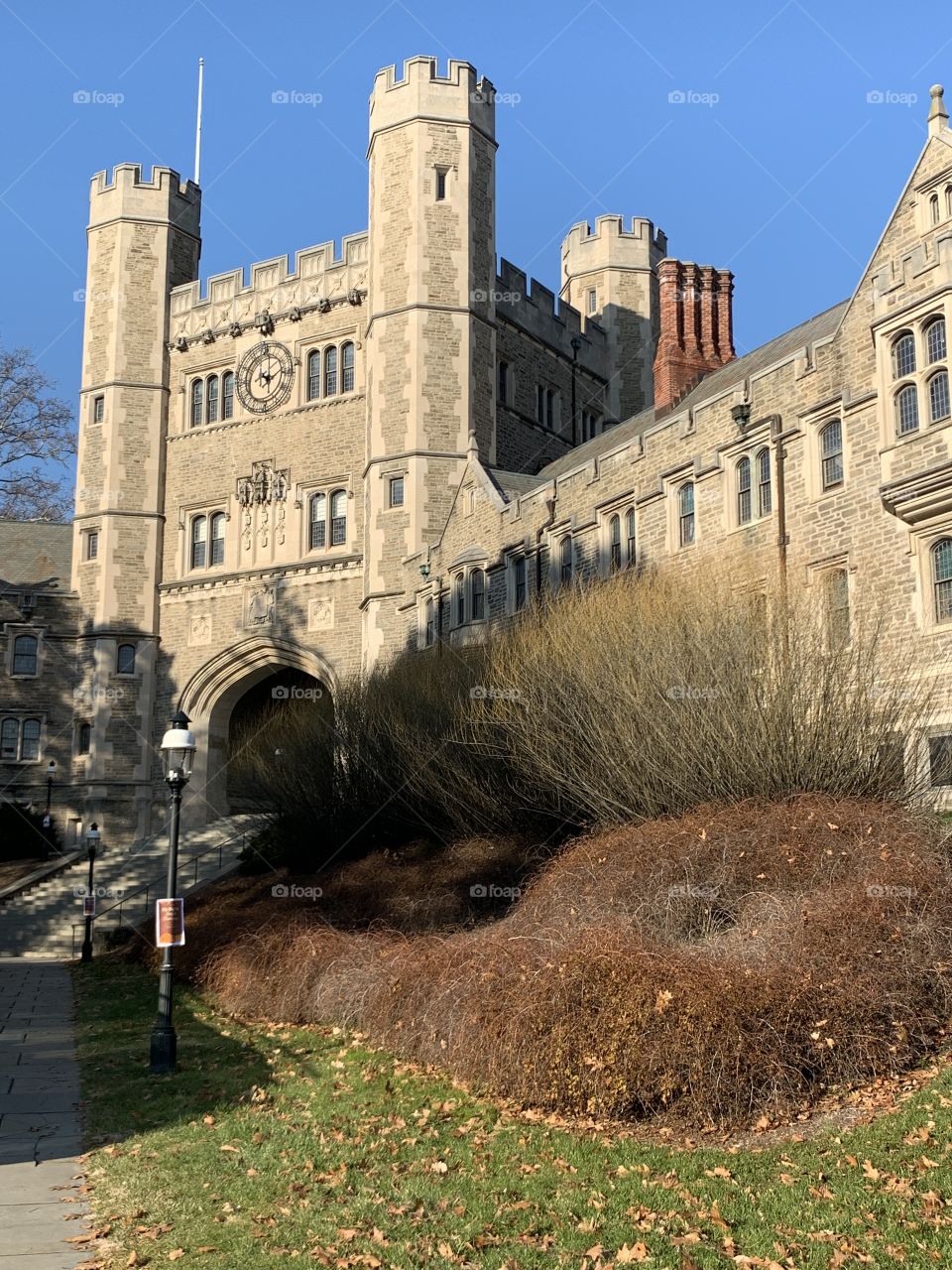 Princeton University 