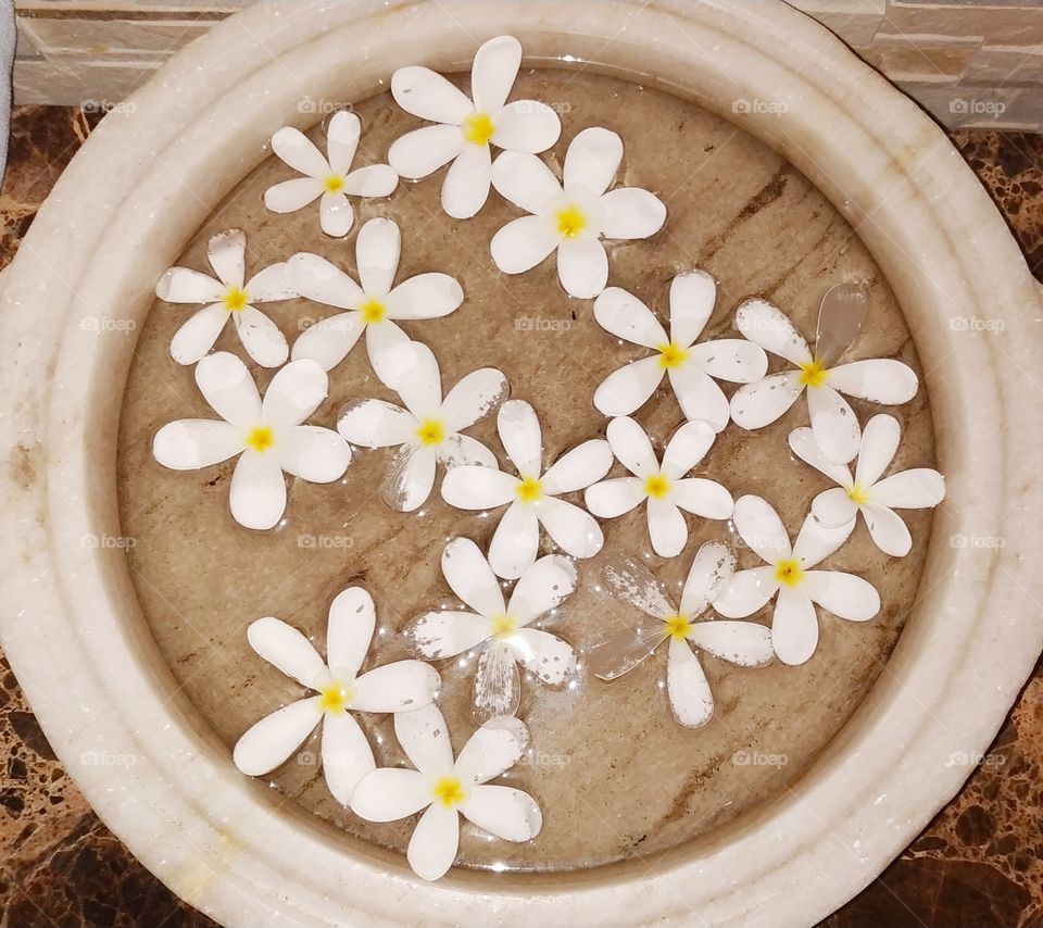 It is a stoneware which is of white color and is filled with water and white colored flowers have also been added to it and it looks very beautiful.