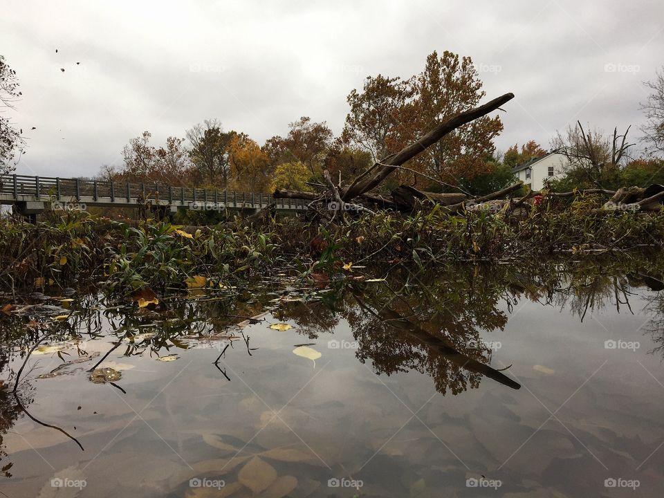 Fall colors reflected in river