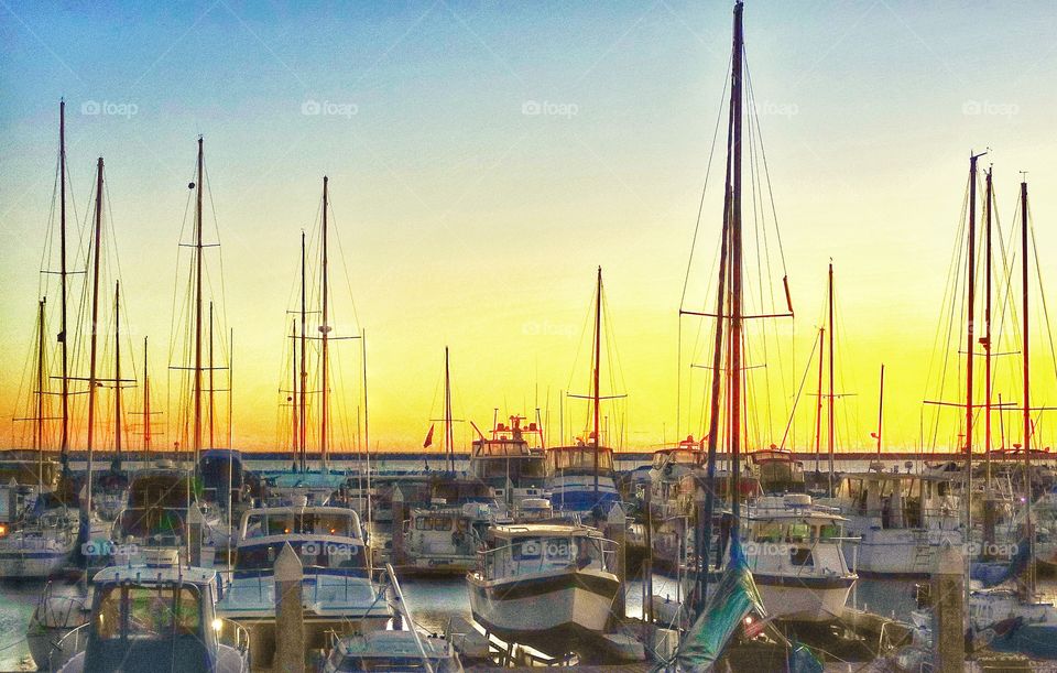 Boats In A Marina At Sunset