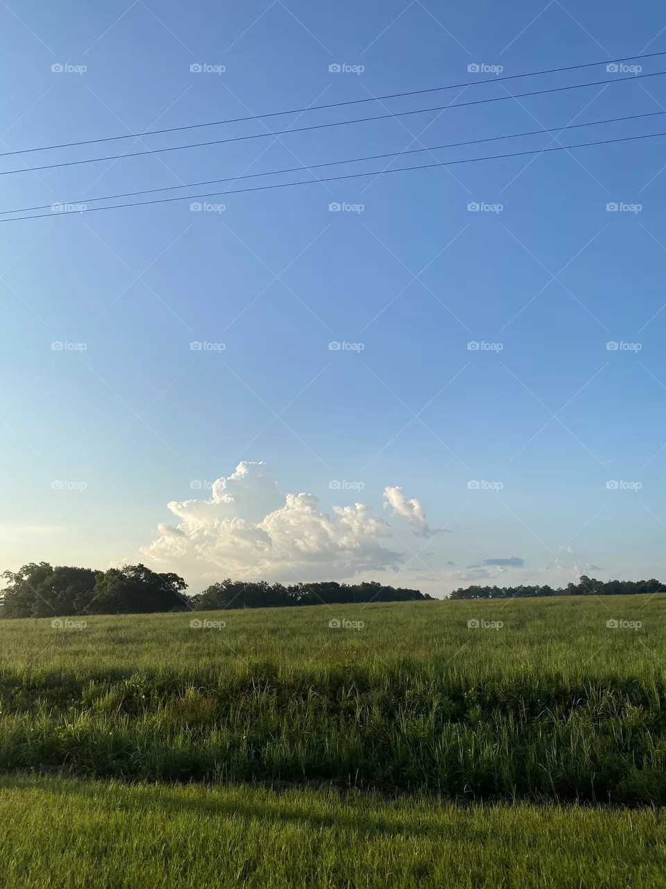 A beautiful day 