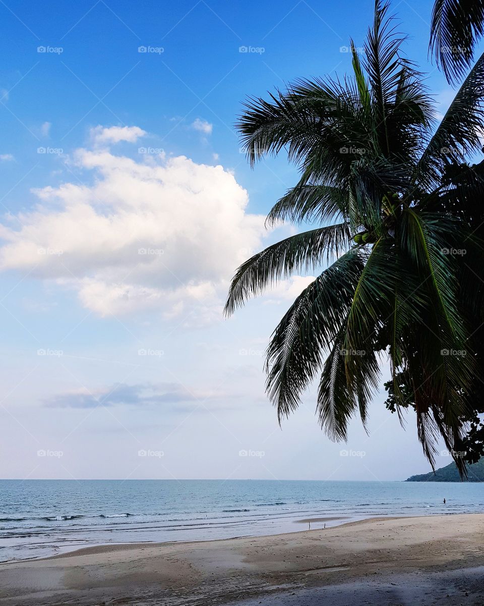 Scenic view of beach against sky