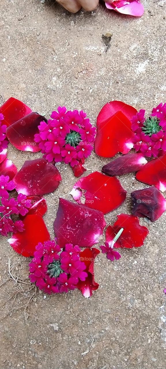 explosion of colors heart