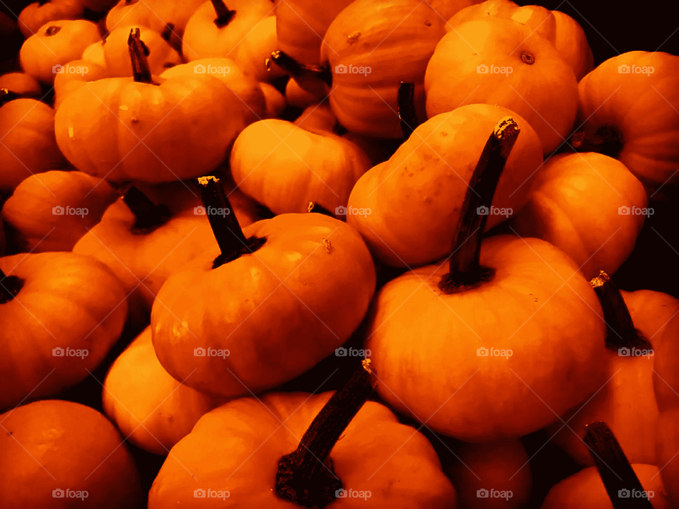 🎃beautiful pumpkins!!