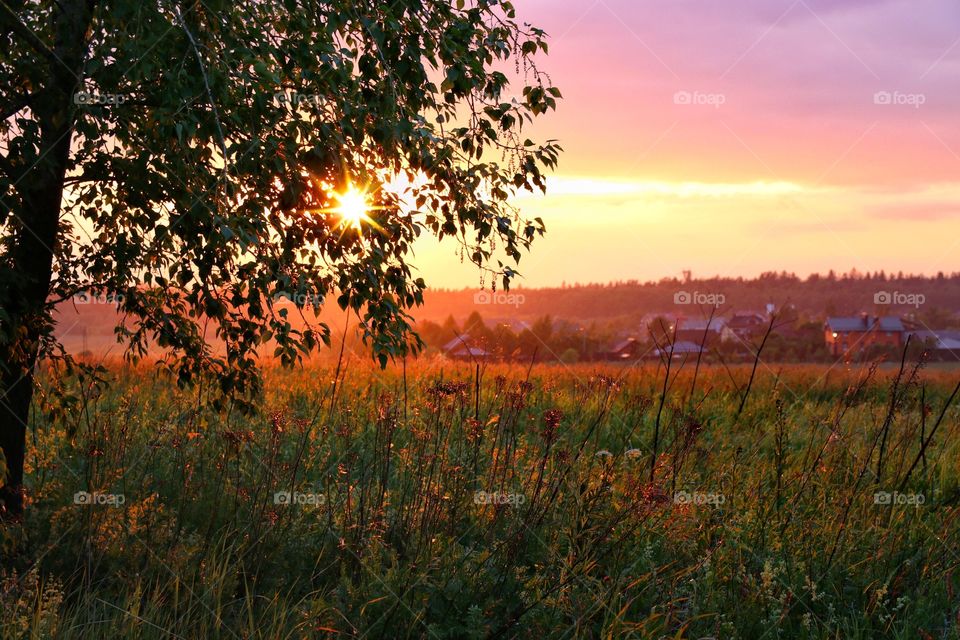 Landscape sunset 