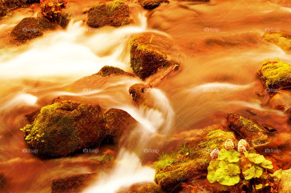 flowing water glows with sunset exposure n rocks with plants