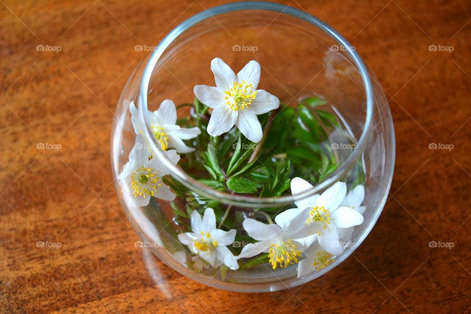 Flower, Bowl, No Person, Perfume, Medicine