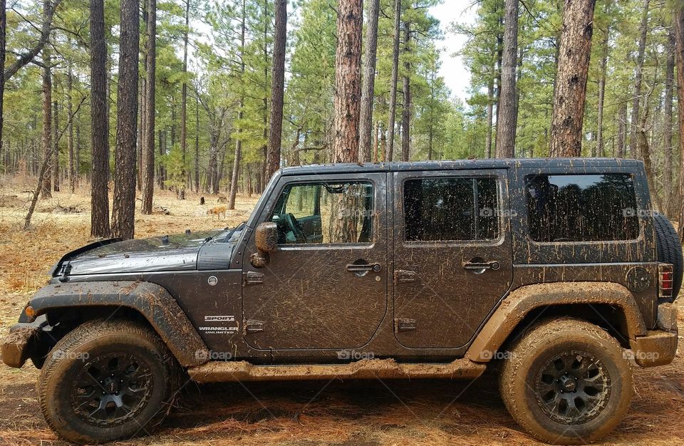 Getting dirty in the Jeep