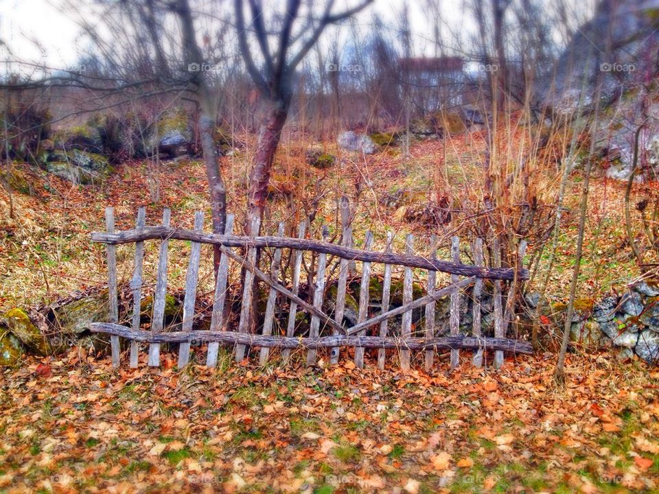 old fence