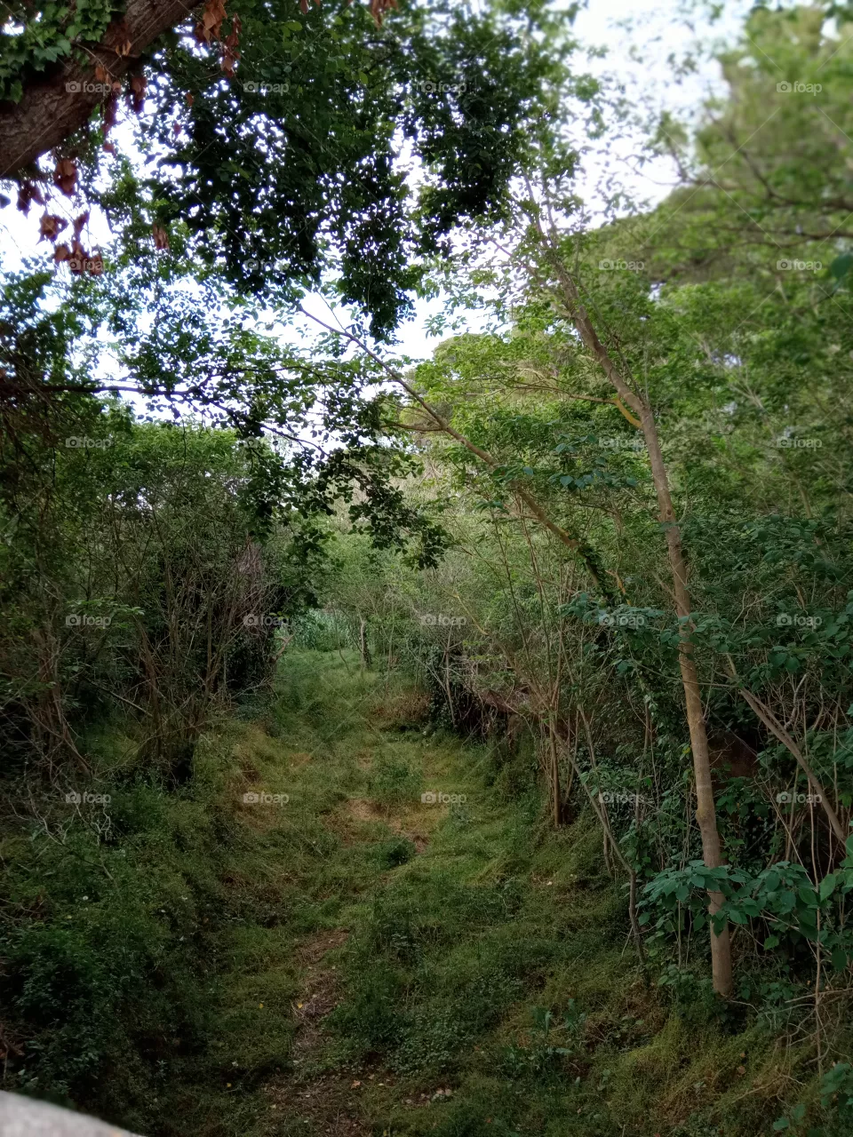parque