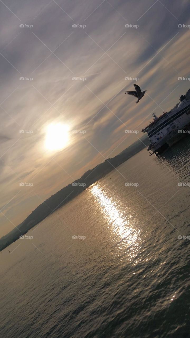 Sunset & bird flying over Calais' ferry port