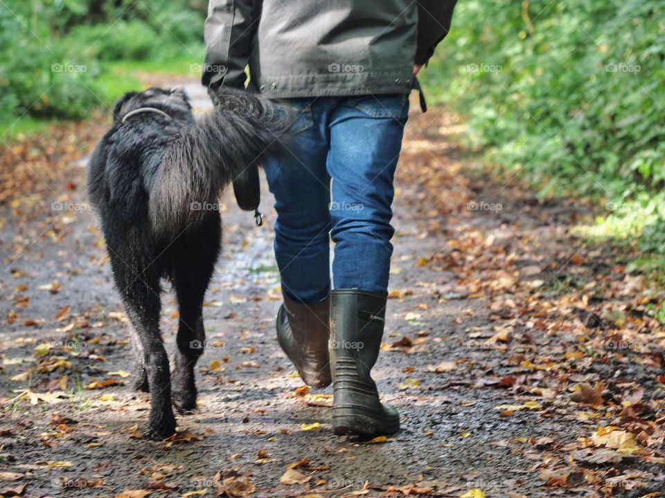 Autumnwalk with Dog