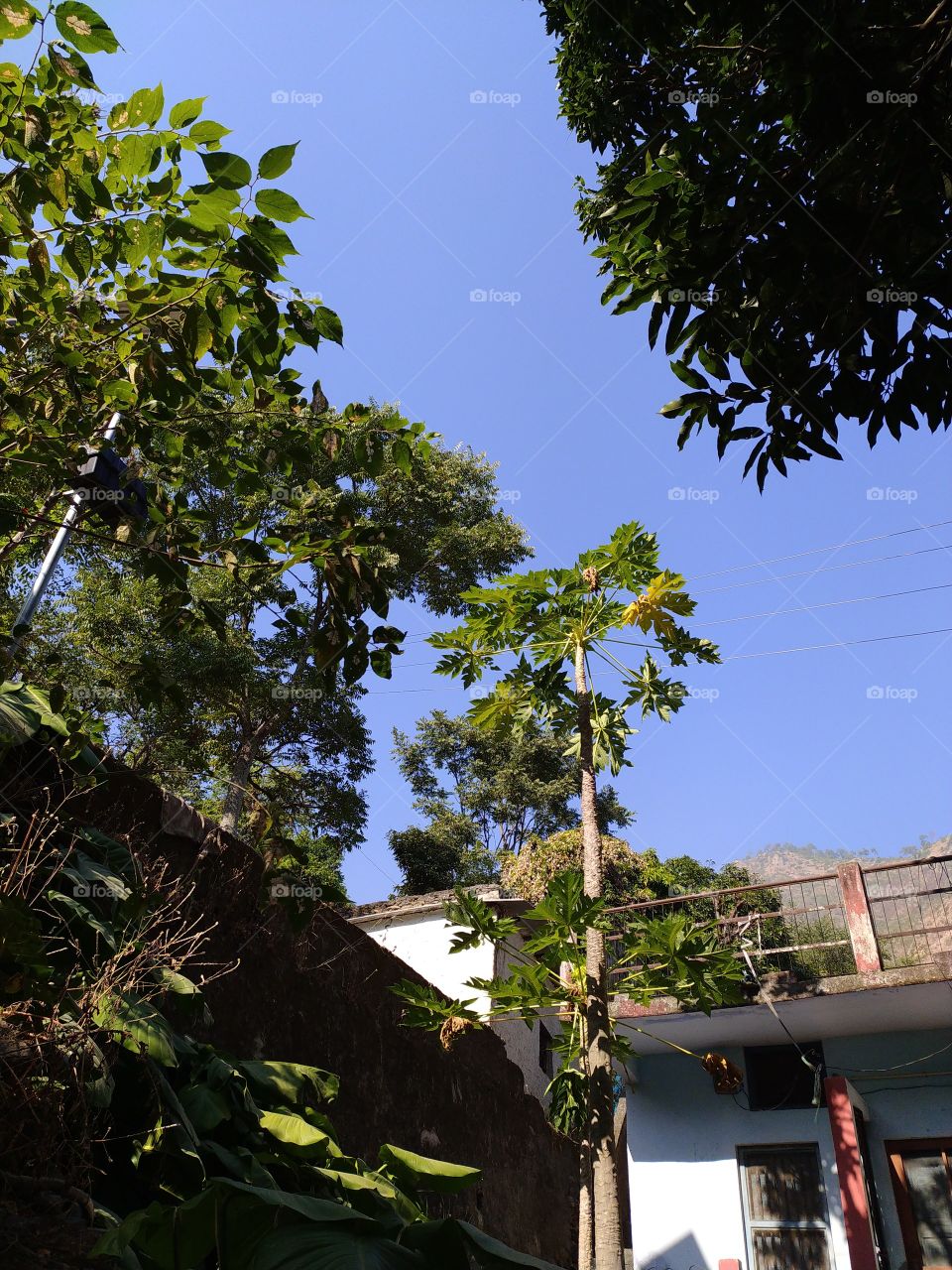 Sharp colours of nature in mid November