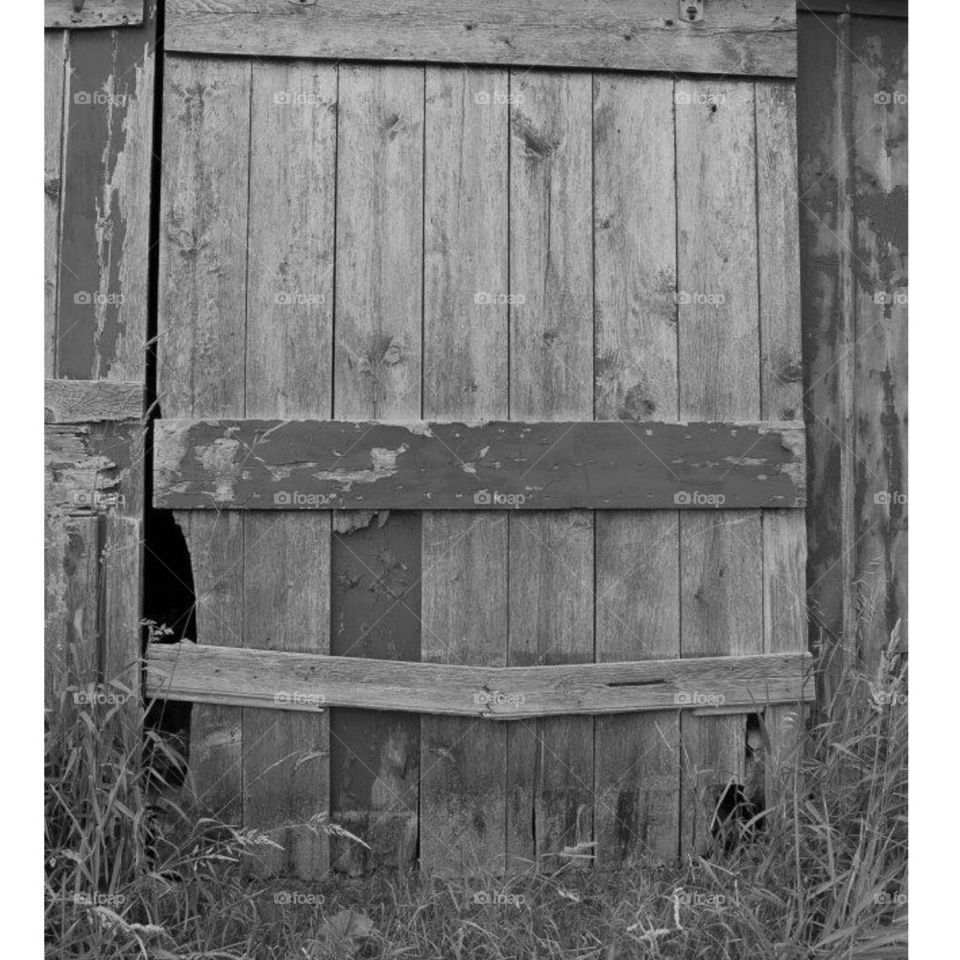 Barn door