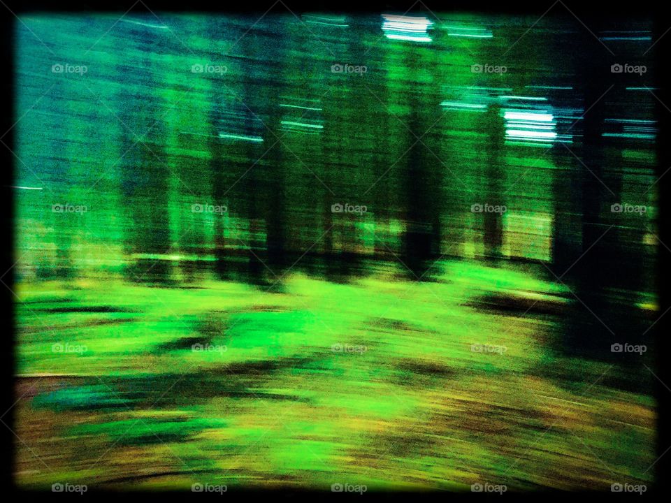 Green Forest Motion blur 