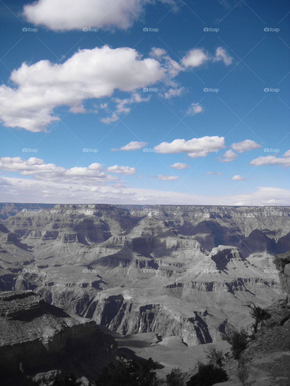 Grand Canyon. South rim of the Grand Canyon