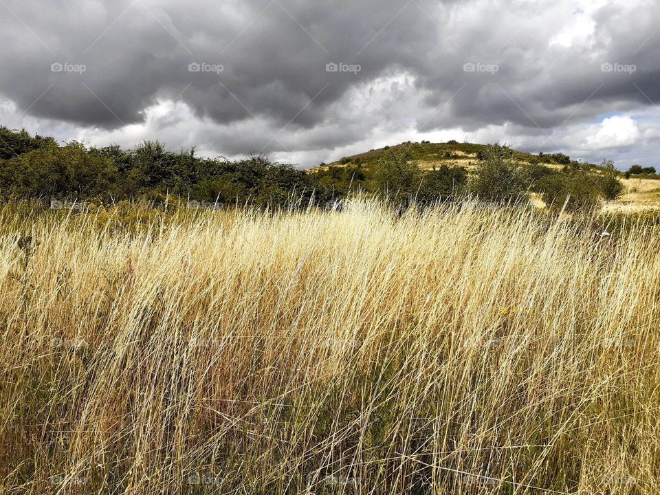 calm before the storm