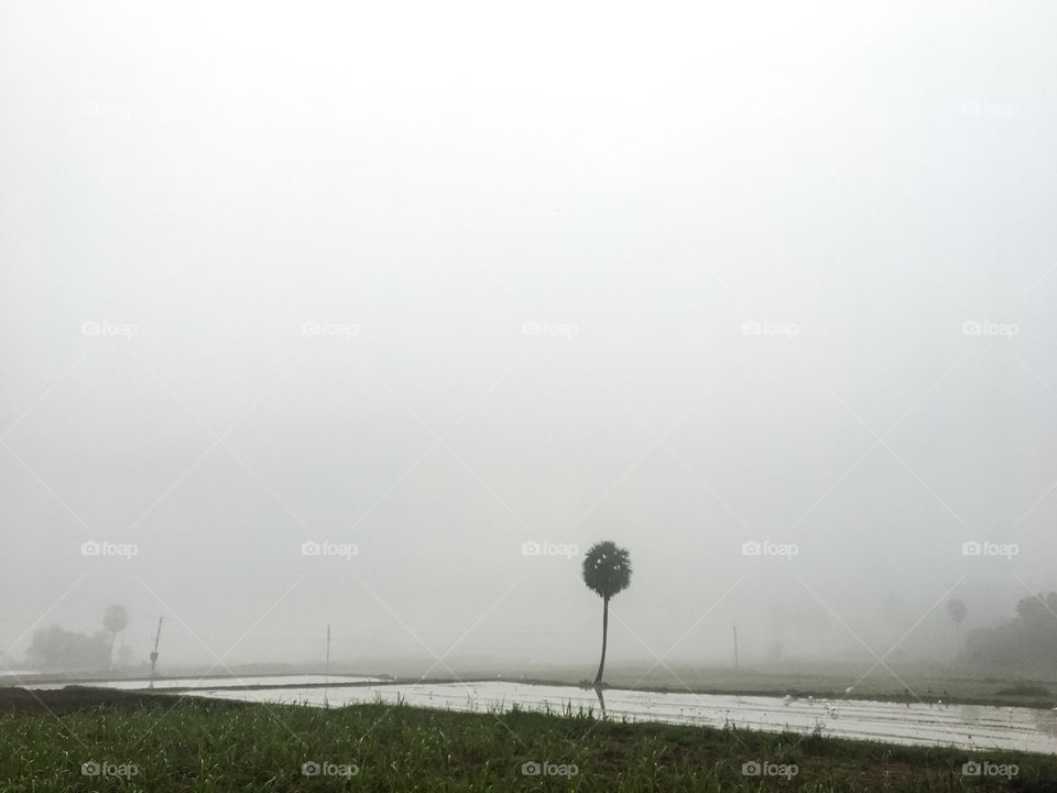 Nature at the time of winter in India 