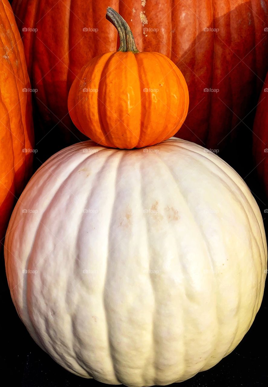 White and orange pumpkins—taken in Dyer, Indiana 