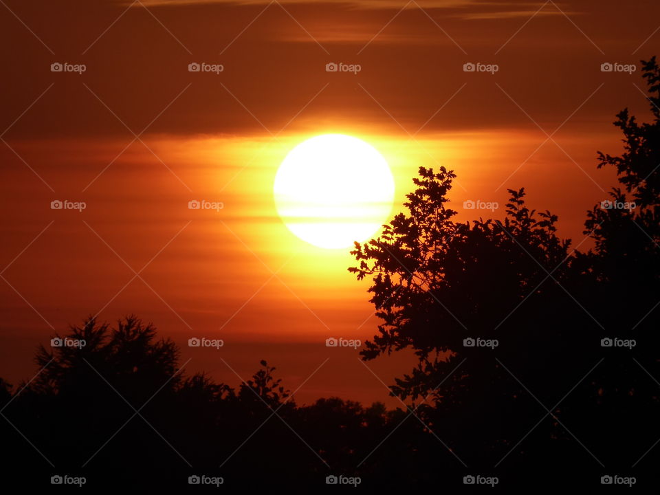 Beautiful Sunset sky  over the baltic sea with tree Silhouettes 