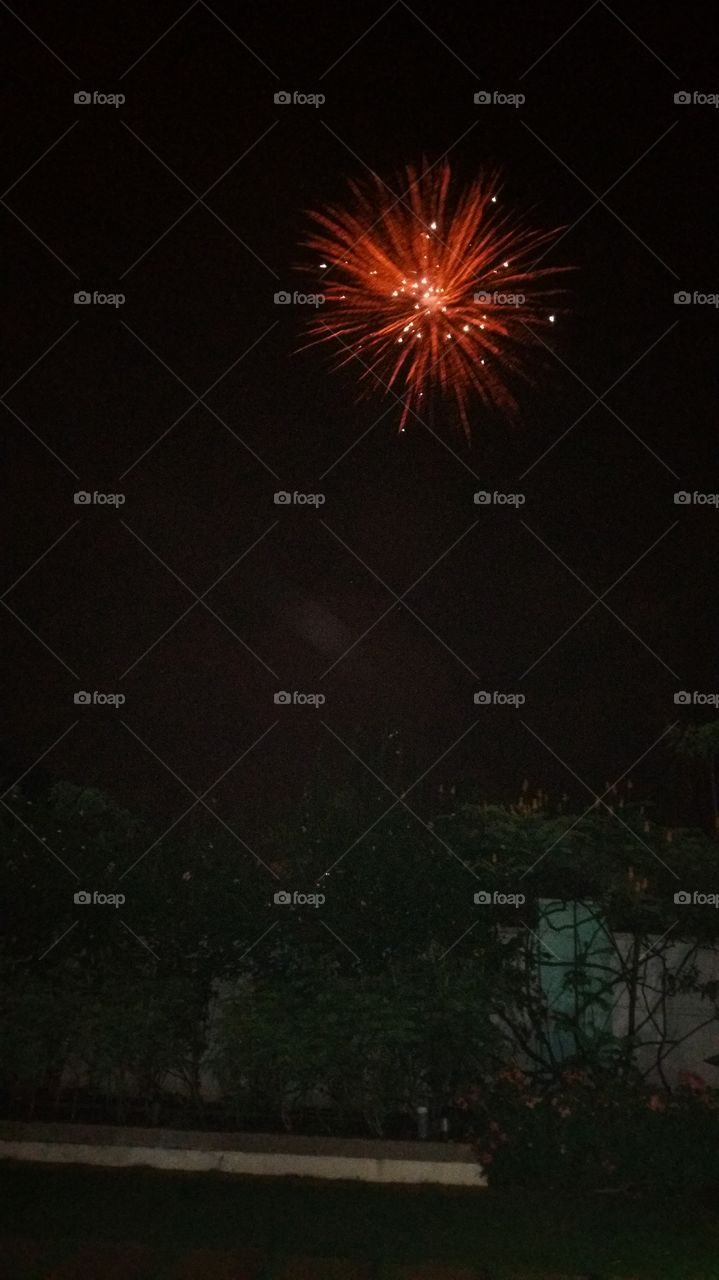 Twinkle Twinkle Little Star !!!