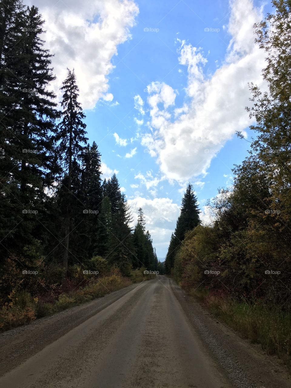 Taking a fall drive in Montana.