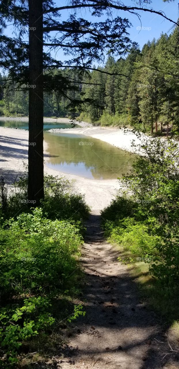 a dirt hiking down to a sandy beach and water surrounded by green foliage and trees on a sunny spring day