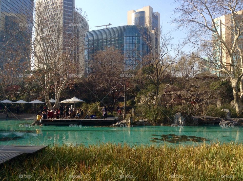 City Park with pond in downtown 