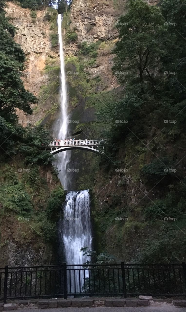 Multnomah Falls, Oregon
