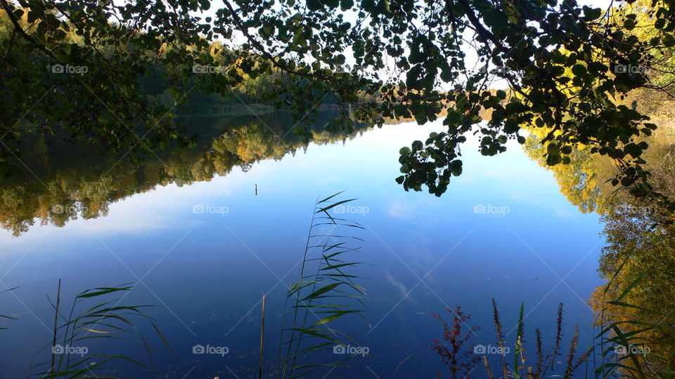 sweden stockholm summer lake by kallek