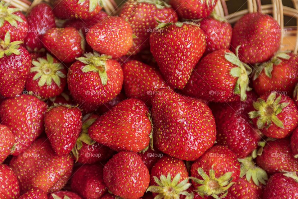 Ripe strawberries in a basket. Strawberry season.