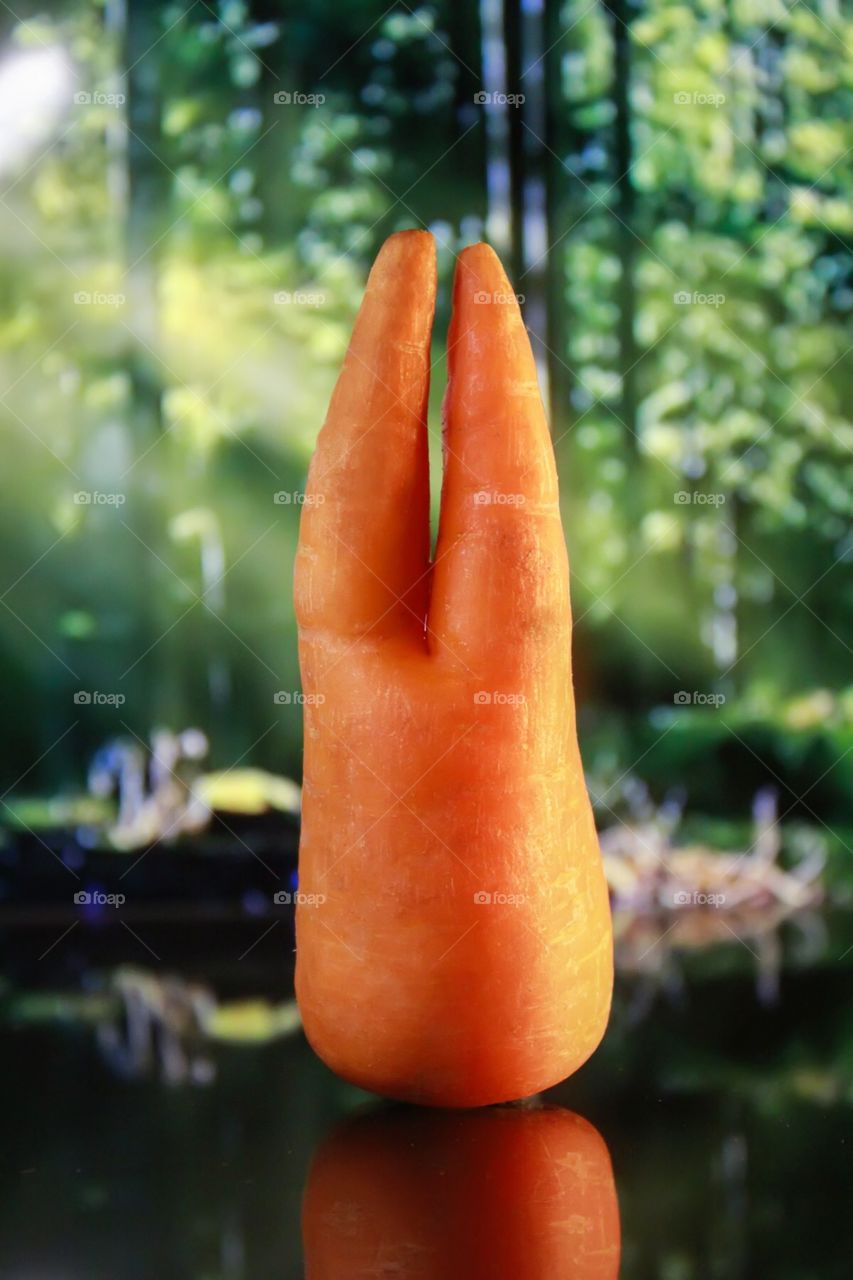 Carrot