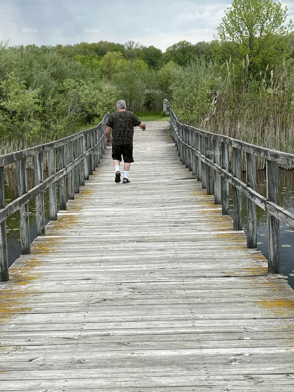 Hiking in the wetlands in Michigan 