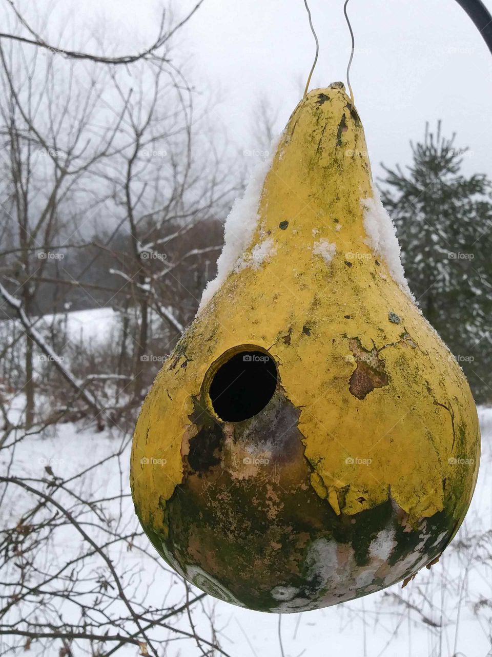 gourd with winter snow scene