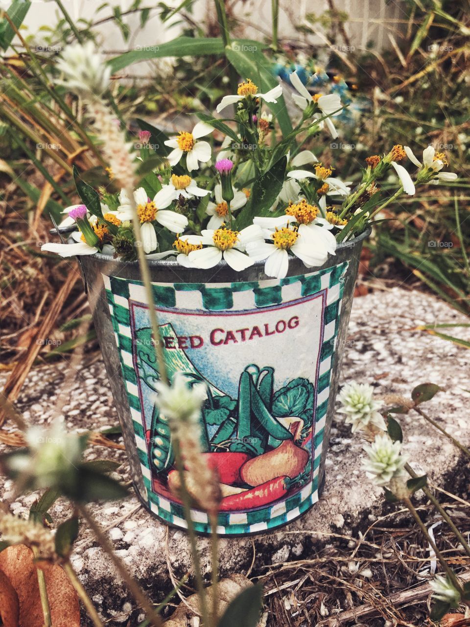 Bucket full of wild weeds makes the heart skip a beat. 