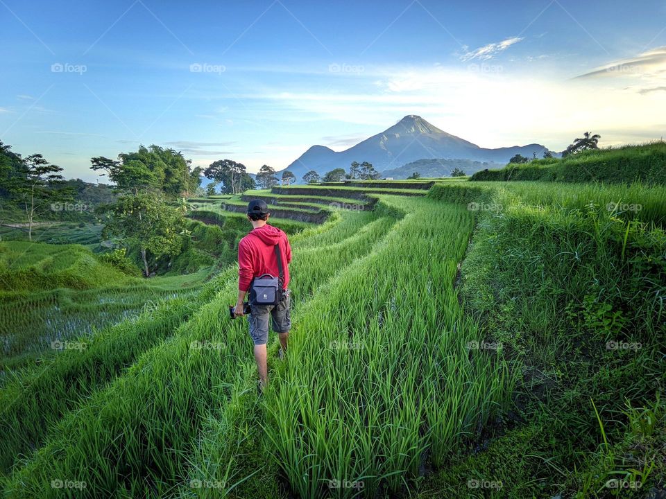 Enjoy the weather in the morning with rice terraces and mountains