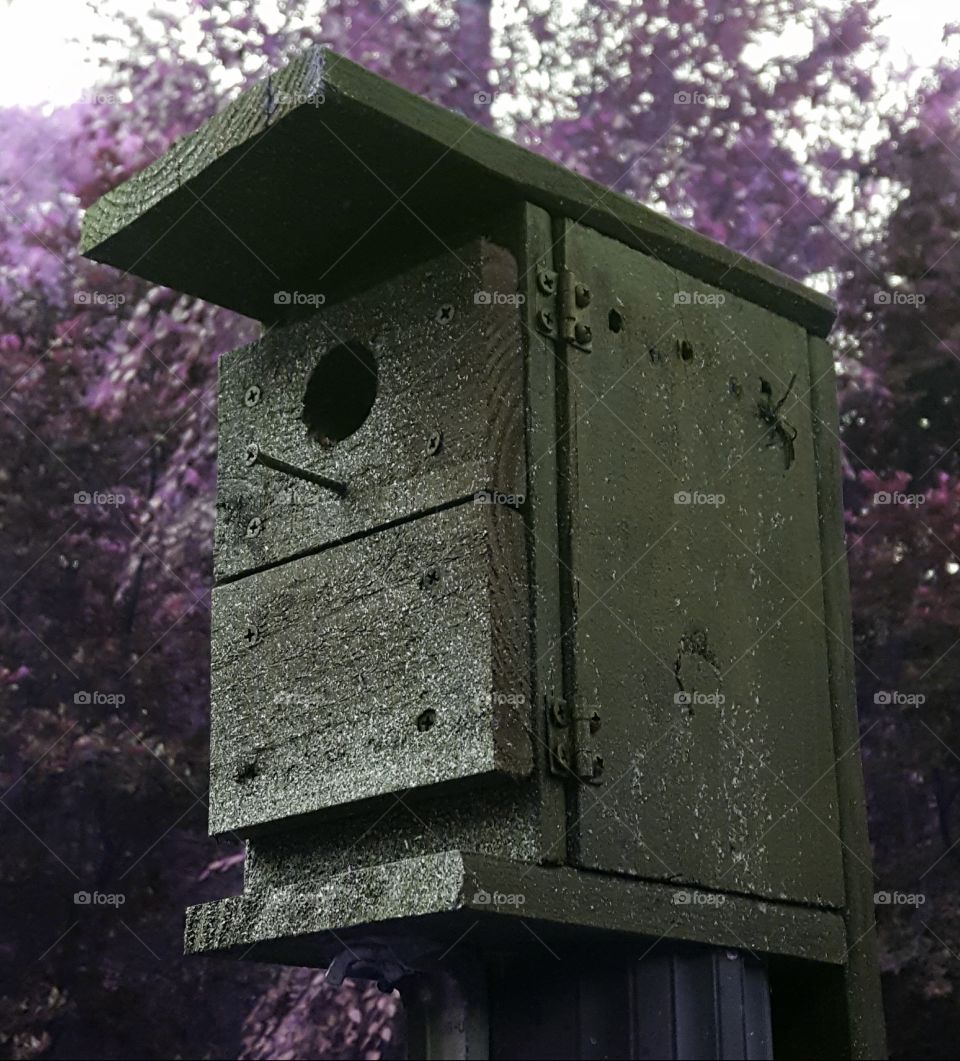 birdhouse