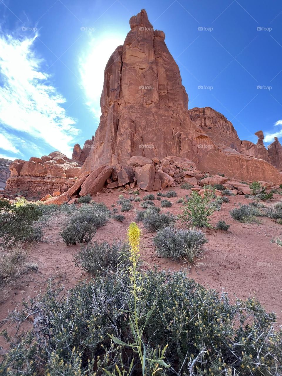 Arches National Park