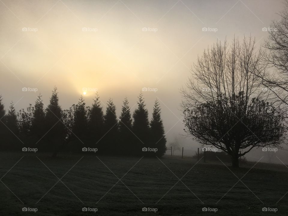 Hazy morning in the mountains